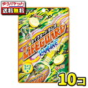 【ゆうパケットメール便・送料無料】ライフガードラムネ 28g 10袋