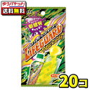 【ゆうパケットメール便・送料無料】ライフガードペーストキャンディ　20袋