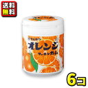 注意事項 北海道(税込660円)、沖縄(税込1100円)、離島へのお届けは、別途送料がかかります。 ご了解の確認が取れてからの出荷となりますので予めご了承ください。 他の商品と同梱はできません。他の商品を同時にご購入の時は別途送料がかかります。 商品詳細 メーカー 丸川製菓　 入数 6個入　 内容量 1個／130g　 商品説明 駄菓子屋さんの定番のガムがかわいいボトル容器入りになりました。デスクにおいて仕事や勉強のリフレッシュに！また車内でドライブのお供に！宴会・イベントゲームの景品にも話題性抜群のおもしろ駄菓子です。 ご注文前に必ずご確認ください パケージデザイン等は予告なく変更する場合があります。 パッケージデザインが異なる場合でも返品、交換の対応は不可となります。　 ラッピングサービスは有償・無償にかかわらずおこなっておりません。ご了承ください。　 ご注文後のお客様都合による「ご注文商品の変更」「ご注文数の変更」「送り先住所の変更」はできません。