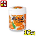 注意事項 北海道(税込660円)、沖縄(税込1100円)、離島へのお届けは、別途送料がかかります。 ご了解の確認が取れてからの出荷となりますので予めご了承ください。 他の商品と同梱はできません。他の商品を同時にご購入の時は別途送料がかかります。 商品詳細 メーカー 丸川製菓　 入数 12個（6個入×2ケース）　 内容量 1個／130g　 商品説明 駄菓子屋さんの定番のガムがかわいいボトル容器入りになりました。デスクにおいて仕事や勉強のリフレッシュに！また車内でドライブのお供に！宴会・イベントゲームの景品にも話題性抜群のおもしろ駄菓子です。 ご注文前に必ずご確認ください パケージデザイン等は予告なく変更する場合があります。 パッケージデザインが異なる場合でも返品、交換の対応は不可となります。　 ラッピングサービスは有償・無償にかかわらずおこなっておりません。ご了承ください。　 ご注文後のお客様都合による「ご注文商品の変更」「ご注文数の変更」「送り先住所の変更」はできません。