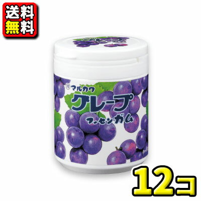【送料無料】【丸川製菓】グレープマーブルガムボトル 130g ×（12個入）