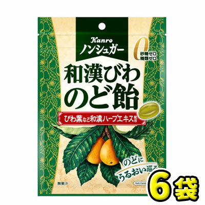 【カンロ】ノンシュガー和漢びわのど飴80g（6袋入）