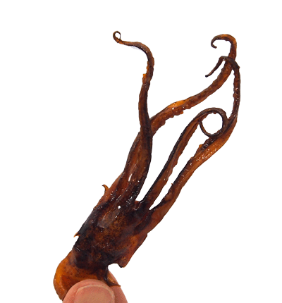 楽天市場 懐かしのポット駄菓子 げんこつ紋次郎いか 80個入 駄菓子 駄菓子ワールド 未購入を含む みんなのレビュー 口コミ