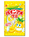 【パイン製菓】パインアメグミ(10個入)