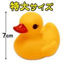 うきうきアヒル〈大〉(12個入) {スーパーボールすくい キャラクターすくい 人形すくい 浮かし お祭り 夏祭り 縁日 バザー 子供会 催事 景品}