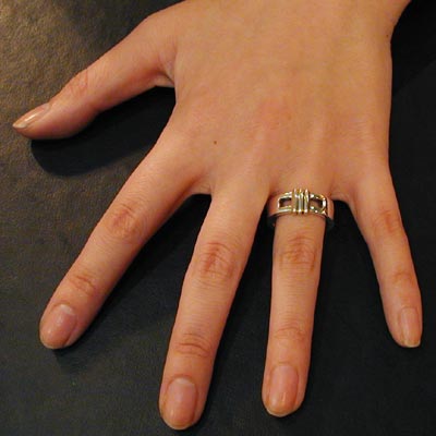 【メール便！送料無料※指定日・代引き・ギフト不可】 シルバーリング レディス 刻印 ギフト プレゼント クリスマス 誕生日 名入れ 3号 4号 5号 6号 7号 8号 9号 10号 11号 12号 13号 14号 15号 16号 17号 18号 19号 20号 21号 22号 23号 DAgDART・ダグダート DR-119