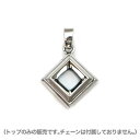 【メール便!送料無料※指定日・代引き・ギフト不可】 ペンダントトップ トップのみ チェーン付属なし ペンダント ネックレス シルバー925 ユニセックス ハンド...