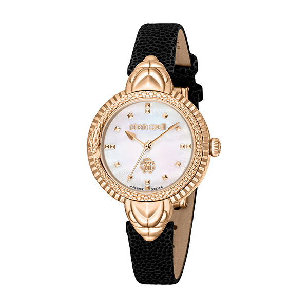 roberto cavalli by FRANCK MULLER ロベ...(2)