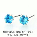 【10%OFFクーポン利用で】(pebirthday11)誕生石 ピアス ブルートパーズピアス PT900 スタッドピアス 11月 レディース メンズ 女性 男...