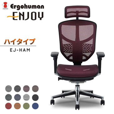 【送料無料】 エルゴヒューマン エンジョイ ハイタイプ EJ-HAM パソコンチェア オフィスチェア メッシュチェア 昇降 高機能 リクライニング テレワーク 在宅ワーク