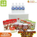 【非常食セット1人3日分-スタンダードS アルミシート付き】【5年保存】非常食セット アルミシート付き 備蓄 防寒 個人で備える