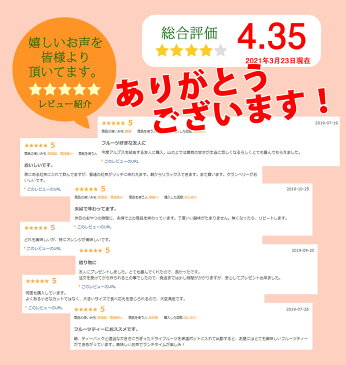ドライフルーツ ミックス 230g 6種類のプレミアムミックスセット 送料無料 楽天ランキング1位受賞! お中元 ギフト プレゼント オレンジ アプリコット キウイ クランベリー パイン レモン フルーツティー 非常食 保存食