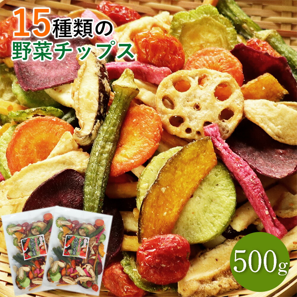 15種類の野菜チップス 500g 送料無料 