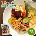 15種類の野菜チップス 75g 送料無料 野菜スナック お菓