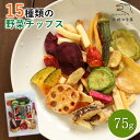 15種類の野菜チップス 75g 送料無料 野菜スナック お菓子 秋ギフト 秋の味覚 ハロウィン ギフト プレゼント 手土産 贈り物 スナック菓子 子供 おやつ ...