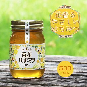 【ポイント5倍&クーポンあり♪】大地の生菓 花の香りがするやさしいはちみつ 500g 無添加 国産純粋はちみつ 送料無料 日本製 国産はちみつ 国産蜂蜜 国産ハチミツ 家庭用 自宅用