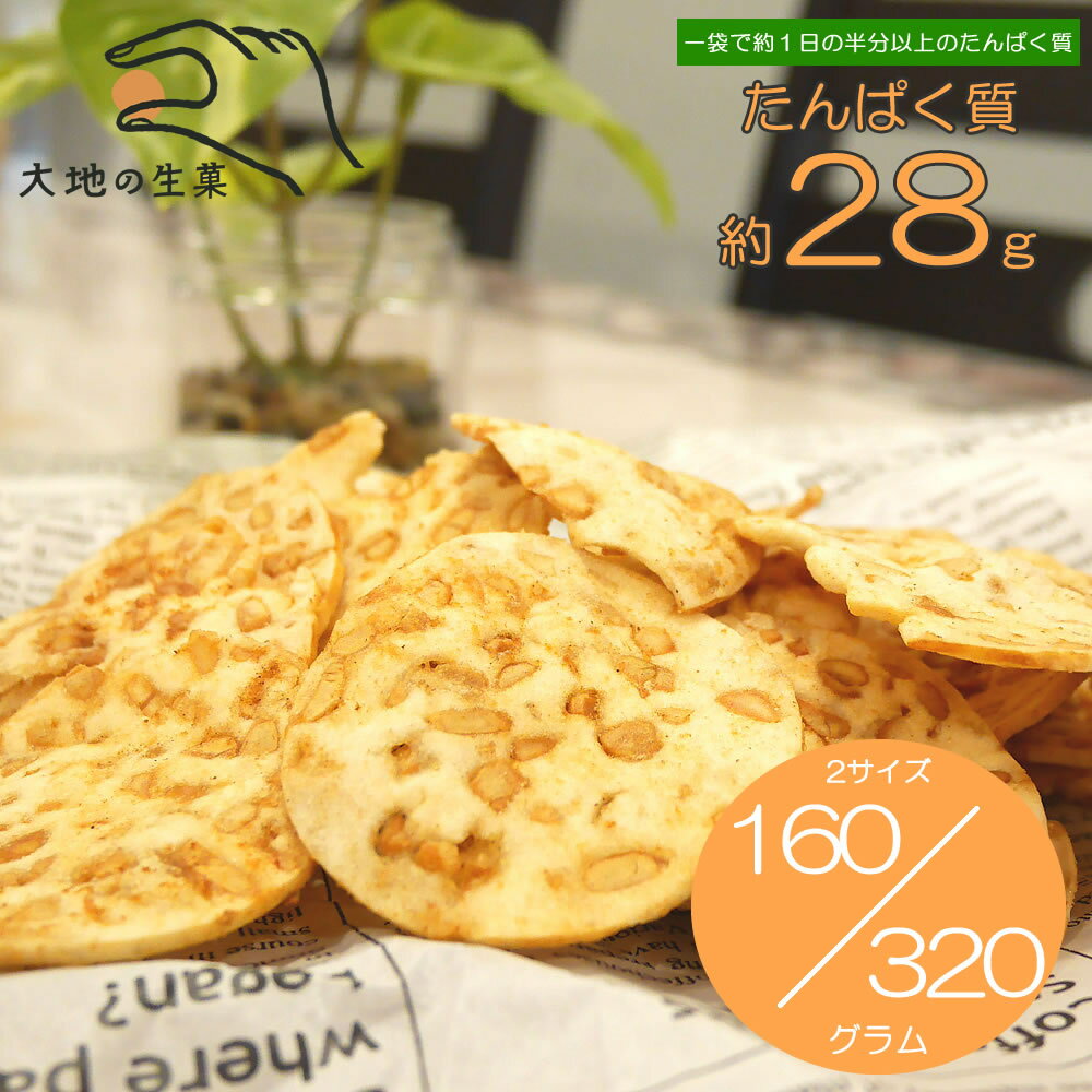 大豆プロティンチップス 160g〜320g たんぱく質 28g配合 ソイプロテイン ヴィーガン ベジタリアン お菓子 テンペ おやつ 食べる 納豆 豆チップス おかし 野菜チップス 大豆チップ SOY ダイエット トレーニング フィットネス 筋トレ 代替食（楽天・大地の生菓）