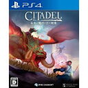 PS4-シタデル:永炎の魔法と古の城塞