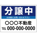 【サイズ変更・名入れ対応】プレート看板「分譲中」 パーキング 不動産 管理看板 募集看板 サイン 広告 デザイン おしゃれ かわいい おすすめ 英語 契約 会社...