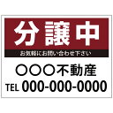 【サイズ変更・名入れ対応】プレート看板「分譲中」 パーキング 不動産 管理看板 募集看板 サイン 広告 デザイン おしゃれ かわいい おすすめ 英語 契約 会社...