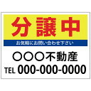 【サイズ変更・名入れ対応】プレート看板「分譲中」 パーキング 不動産 管理看板 募集看板 サイン 広告 デザイン おしゃれ かわいい おすすめ 英語 契約 会社...