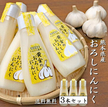 《2022年4月度月間優良ショップ受賞！》おろしにんにく 100g × 3本 お買得 セット 《 送料無料 》 熊本県産 【 おろしニンニク 国産にんにく ニンニクチューブ にんにく ニンニク おろし チューブ セット 薬味 調味料 料理 3本 国産 熊本県産 送料無料】