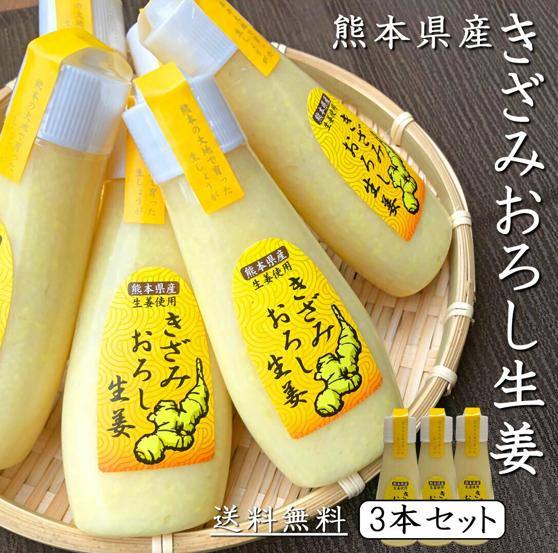 《2022年4月度月間優良ショップ受賞！》きざみ おろし生姜 100g × 3本 お買得 セット 熊本県産 《 送料無料 》【 おろししょうが しょうが チューブ 生姜 ショウガ 生しょうがおろし チューブ生姜 チューブ セット 冷え性対策 薬味 調味料 料理 国産 熊本県産 送料無料 】 1