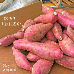 【送料無料】訳ありさつまいも3kg 熊本県産　紅はるか　お買い得　数に限りがございます！！　べにはるか