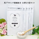 馬プラセンタ6000 60粒入 【5袋セット】 5ヶ月分 国産馬プラセンタのみ使用 2粒に200mg配合 プラセンタのみ配合の濃厚な馬プラセンタ