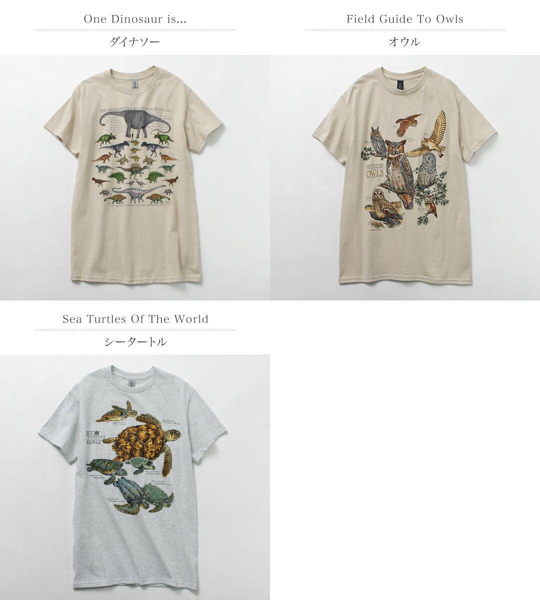 【10%OFFクーポン対象】LIBERTY G...の紹介画像2