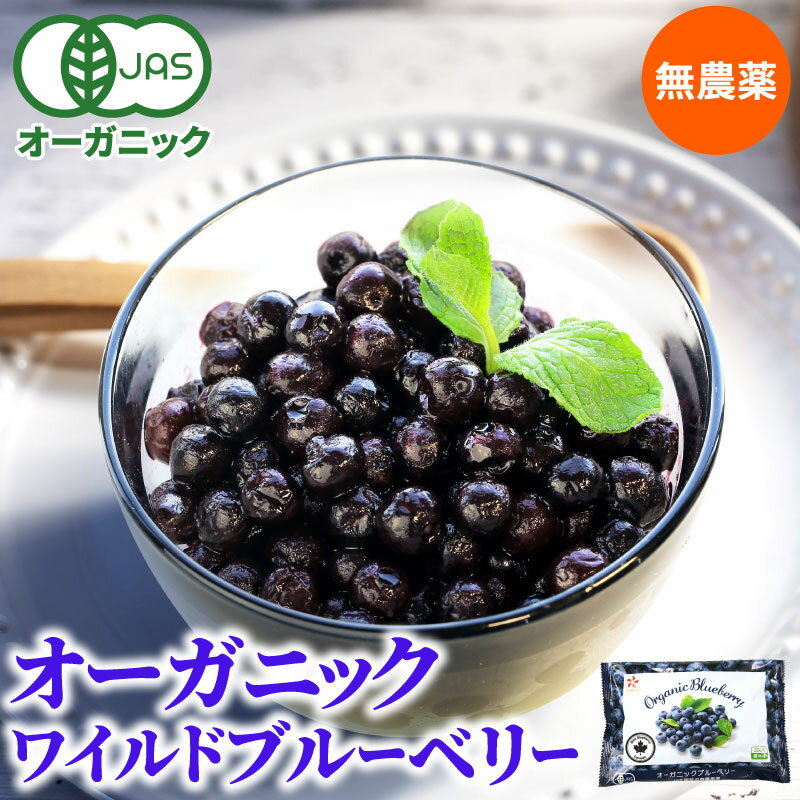 【ふるさと納税】【訳あり】 冷凍ブルーベリー 小粒 1kg（500g×2pc） 【すみれファーム】[ZEP045]