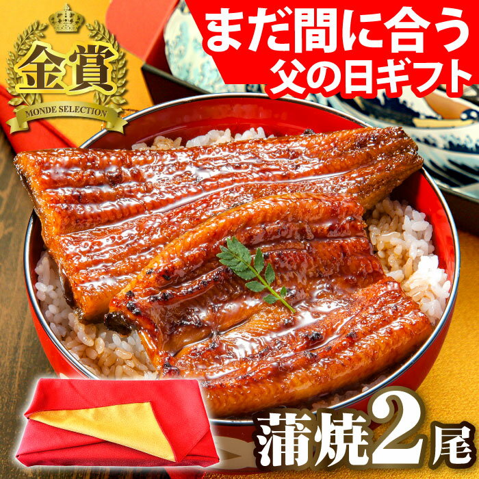 父の日 国産うなぎ 長蒲焼2尾セット ギフト プレゼント うなぎ 鰻 ウナギ 蒲焼 蒲焼き 食べ物 誕生日 お祝い 内祝い 出産内祝 結婚内祝 国産 国内産 母の日 60代 70代 80代 グルメ お中元 送料無料