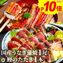 国産うなぎ長蒲焼き1尾&かつおのたたき1本蒲焼 一本釣り 藁焼き カツオ 鰹 かつお タタキ たたき 鰻 ウナギ 蒲焼き 国産 誕生日 母の日 父の日 ギフト ...