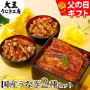 父の日 うなぎ まだ間に合う プレゼント 国産うなぎ蒲焼き2種セット (長焼き(大)1尾&きざみうなぎ2パック) 国産 蒲焼き 御祝 内祝 ギフト 誕生日 食べ物 グルメ 早割 冷凍 ひつまぶし きざみうなぎ