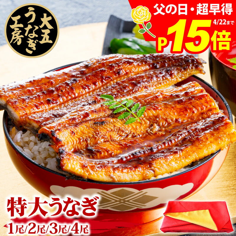 国産 うなぎ 特大 長蒲焼き 2尾 3尾 4尾 父の日 早割 早得 ギフト 誕生日 プレゼント 御礼 内祝い 御祝 お返し 寸志 食べ物 お取り寄せ グルメ ウ...