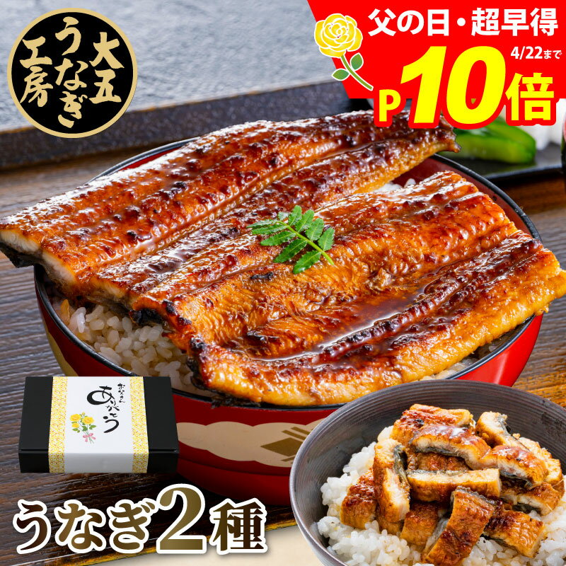 うなぎ 国産 うなぎ蒲焼き2種セット （長焼き(大)1尾＆きざみうなぎ2パック） 父の日 早割 早得 プレゼント ギフト うなぎ蒲焼 蒲焼き 御祝 内祝 誕生日...