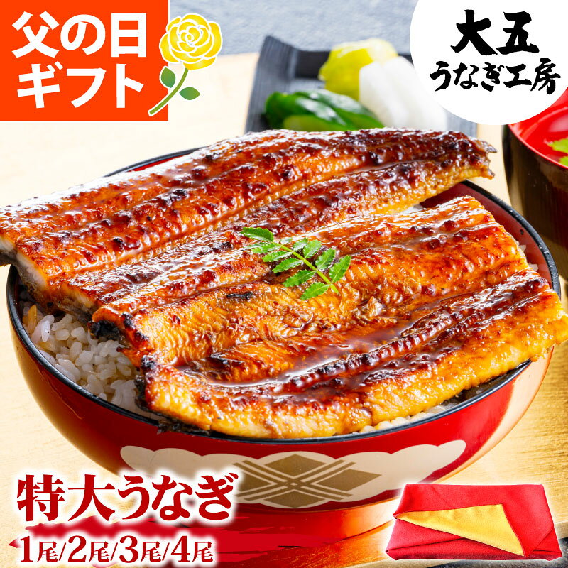 父の日 ギフト 国産 うなぎ 特大 長蒲焼き 2尾 3尾 4尾 誕生日 プレゼント 御中元 御礼 内祝い 御祝 お返し 寸志 食べ物 お取り寄せ グルメ ウナギ 鰻 蒲焼き 蒲焼 うなぎ蒲焼 土用の丑の日 土用丑 土用 丑の日 真空パック 冷凍 自社製造 送料無料