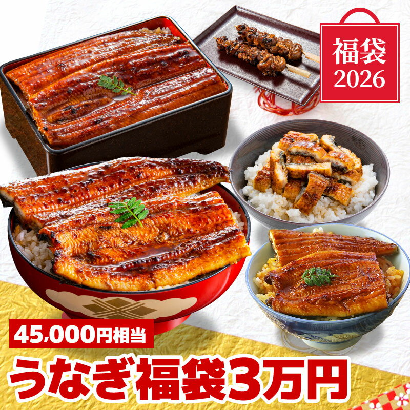 うなぎ福袋3万円セット 福袋 2026 食べ物 国産うなぎ 超特大 きざみうなぎ 特大うなぎ カット ...