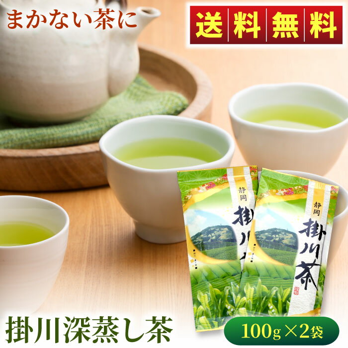 掛川深蒸し緑茶（緑袋）100g×2袋 緑茶 お茶 静岡茶 静岡 掛川茶 日本茶 自宅用 普段使い 送 ...