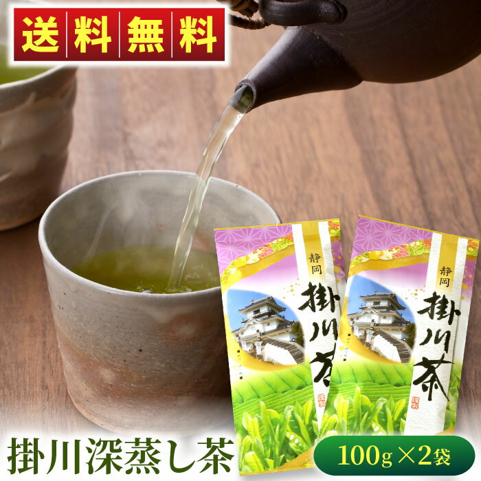 深蒸し茶 掛川茶（紫）100g×2袋 緑茶