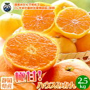 【8月中旬頃より出荷予定】極甘!静岡県産 ハウスみかん 夏の宝石 エレ・ミカン2.5kg みかん ミカン 蜜柑 甘い 温室みかん ハウスミカン 静岡 贈り物 プ...