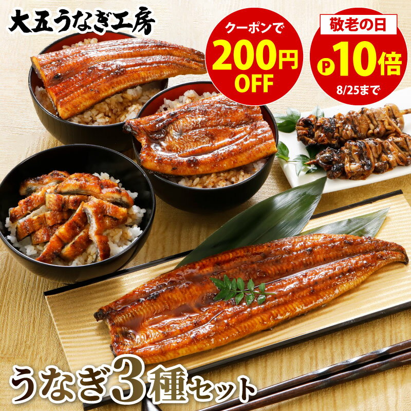 お中元 うなぎ 国産 蒲焼き 3種セット 長蒲焼1尾＆カット蒲焼2枚＆きざみうなぎ1パック 焼き肝串プレゼント ギフト 敬老の日 国産 蒲焼 内祝 御礼 御祝 お返し 誕生日プレゼント お祝い 結婚内祝い 熨斗 のし 風呂敷 グルメ 鰻 ウナギ 自社製造のサムネイル
