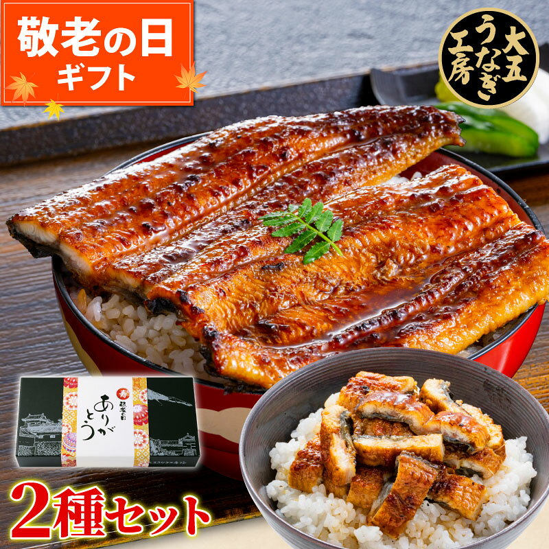 まだ間に合う 敬老の日 うなぎ ギフト 国産うなぎ蒲焼き2種セット （長焼き(大