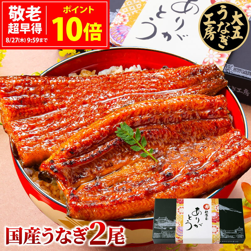 敬老の日 超早得ポイント10倍 ギフト うなぎ 国産 長蒲焼 2尾 プレゼント 土用の丑の日 土用 丑の日 うなぎ蒲焼 鰻 ウナギ 蒲焼 蒲焼き ギフト包装 誕生日 内祝 お祝い 出産内祝 結婚内祝 国内産 60代 70代 80代 食べ物 unagi グルメ お取り寄せ 食品 人気 冷凍