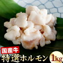 厳選国産牛 特選ホルモン（牛もつ） 1kg（200g×5袋） モツ 牛モツ 小腸 もつ鍋 モツ鍋 冷凍 国産牛 お肉 牛肉 お取り寄せ 1キロ 送料無料