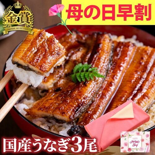 【母の日ギフト】モンドセレクション金賞受賞！大人気蒲焼きの3尾セッ...