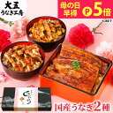 \P5倍!/ 母の日 プレゼント 国産うなぎ蒲焼き2種セット (長焼き(大)1尾&きざみう