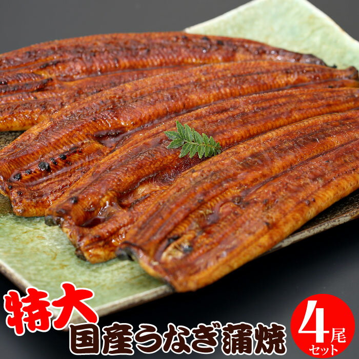 特大うなぎ蒲焼 200g〜220g×4尾セット