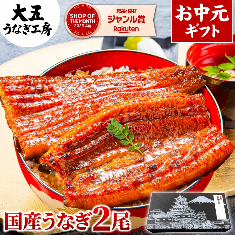 国産うなぎ 長蒲焼2尾セット【送料込み】
