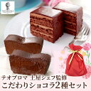 プレゼント テオブロマ 土屋公二シェフ監修 ご褒美ガトーショコラ&ケイクショコラセット ケーキ 洋菓子 スイーツ ギフト ホワイトデー カカオ チョコレートケー...
